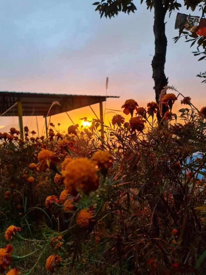 The Kanatal Arbour Buitenkant foto