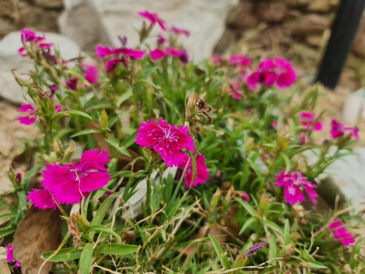 The Kanatal Arbour Buitenkant foto